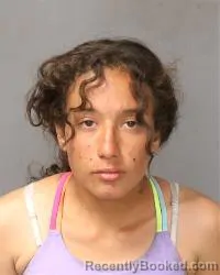 Mugshot of Ileana Bianca Lujan booked in Bernalillo County, New Mexico on June 24, 2026
