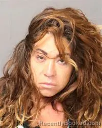 Mugshot of Lizbeth Carmen Villa booked in Bernalillo County, New Mexico on June 26, 2026