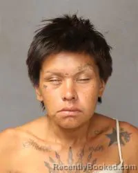 Mugshot of Cali Lilly Tonay booked in Bernalillo County, New Mexico on June 27, 2026
