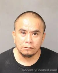 Mugshot of Marco Castillo booked in Bernalillo County, New Mexico on June 28, 2026