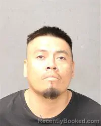 Mugshot of Rikki Harrison booked in Bernalillo County, New Mexico on June 28, 2026