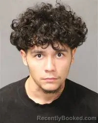 Mugshot of Daniel Gabaldon booked in Bernalillo County, New Mexico on July 2, 2026