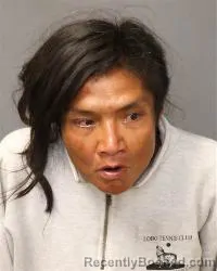 Mugshot of Nicolette Faith Smiley booked in Bernalillo County, New Mexico on July 2, 2026