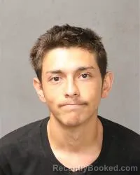 Mugshot of Dominic Lee Pilkinton booked in Bernalillo County, New Mexico on July 5, 2026