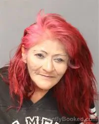 Mugshot of Sherry Ann Sarracino booked in Bernalillo County, New Mexico on July 5, 2026