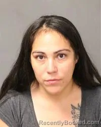 Mugshot of Jolyn Bernadette Sanchez booked in Bernalillo County, New Mexico on July 6, 2026