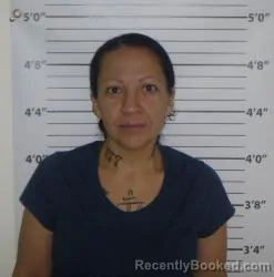 Mugshot of Rocio Lopez booked in Bernalillo County, New Mexico on July 6, 2026