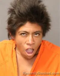 Mugshot of Reyesa Anai Hernandez booked in Bernalillo County, New Mexico on July 6, 2026
