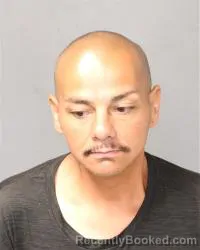 Mugshot of Jimmy J Sedillo booked in Bernalillo County, New Mexico on July 6, 2026