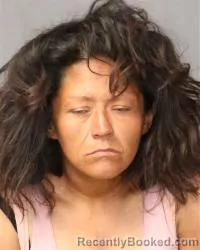 Mugshot of Jamie Ann Gomez booked in Bernalillo County, New Mexico on July 6, 2026