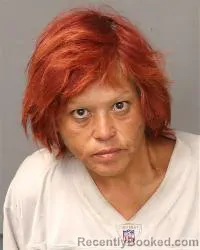 Mugshot of Eva L Roman booked in Bernalillo County, New Mexico on July 7, 2026