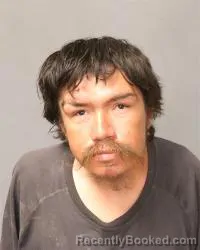 Mugshot of Steven Sims booked in Bernalillo County, New Mexico on July 7, 2026