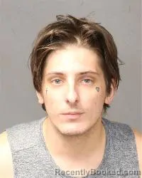 Mugshot of Dante Geatano Marinaro booked in Bernalillo County, New Mexico on July 8, 2026