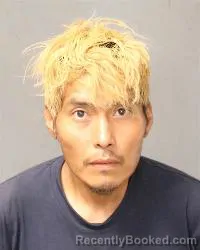 Mugshot of Samuel L Sala booked in Bernalillo County, New Mexico on July 8, 2026