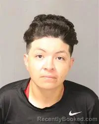 Mugshot of Denae Marie Lopez booked in Bernalillo County, New Mexico on July 8, 2026