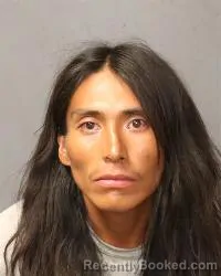 Mugshot of Brennan James Cerno booked in Bernalillo County, New Mexico on July 8, 2026