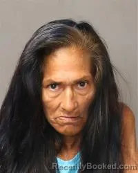Mugshot of Teresa Gonzales booked in Bernalillo County, New Mexico on July 9, 2026