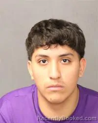 Mugshot of Alexis Correno booked in Bernalillo County, New Mexico on July 9, 2026