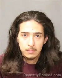 Mugshot of Elijah Velasquez booked in Bernalillo County, New Mexico on July 10, 2026