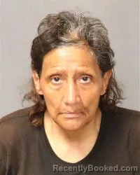 Mugshot of Donna Lee Levario booked in Bernalillo County, New Mexico on July 11, 2026