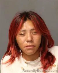 Mugshot of Otayia L Jones booked in Bernalillo County, New Mexico on July 11, 2026