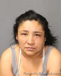 Mugshot of Jenna L Lorenzo booked in Bernalillo County, New Mexico on July 12, 2026