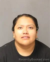 Mugshot of Kaylynn Lula Martin booked in Bernalillo County, New Mexico on July 12, 2026
