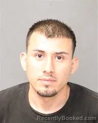 Mugshot of Trustin Michael Forni booked in Bernalillo County, New Mexico on July 13, 2026