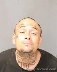 Mugshot of Darrell Williams booked in Bernalillo County, New Mexico on July 14, 2026