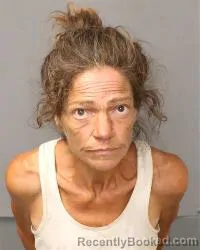 Mugshot of Denise Renay Christie booked in Bernalillo County, New Mexico on July 14, 2026