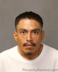 Mugshot of Ben A Wacey booked in Bernalillo County, New Mexico on July 14, 2026