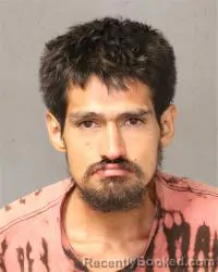 Mugshot of William Eric Chesney booked in Bernalillo County, New Mexico on August 10, 2026