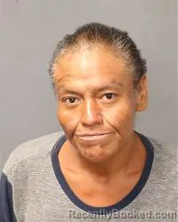 Mugshot of Angelina Hopkins booked in Bernalillo County, New Mexico on August 10, 2026