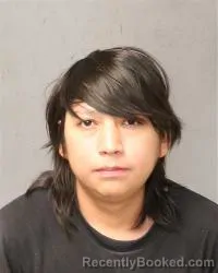 Mugshot of Bryan Jose Bowannie booked in Bernalillo County, New Mexico on August 11, 2026