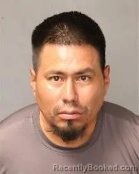 Mugshot of Raygil Ray Wauneka booked in Bernalillo County, New Mexico on August 11, 2026
