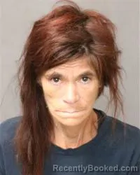 Mugshot of Brandy Kaye Caillouette booked in Bernalillo County, New Mexico on August 11, 2026