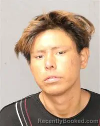 Mugshot of Parker Lynn Witt booked in Bernalillo County, New Mexico on August 12, 2026
