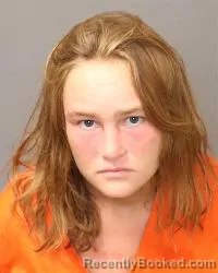 Mugshot of Lillian Wood booked in Bernalillo County, New Mexico on August 12, 2026