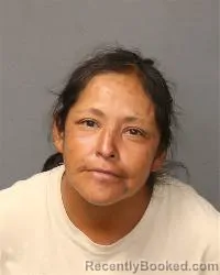 Mugshot of Kisson Alisha Kushana booked in Bernalillo County, New Mexico on August 13, 2026
