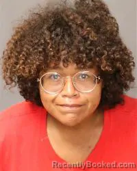 Mugshot of Bianca Stevie Cowboy booked in Bernalillo County, New Mexico on August 13, 2026