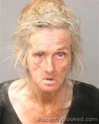 Mugshot of Denise Bierley booked in Bernalillo County, New Mexico on August 15, 2026
