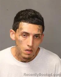 Mugshot of Diego Fernandez booked in Bernalillo County, New Mexico on August 19, 2026