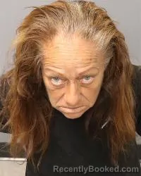 Mugshot of Heidi Romero booked in Bernalillo County, New Mexico on August 20, 2026