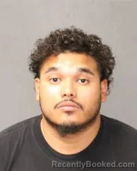Mugshot of Octavio Pena booked in Bernalillo County, New Mexico on August 21, 2026