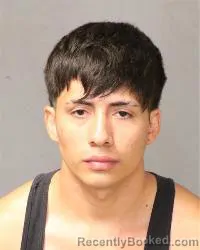 Mugshot of Jose Lopez Pedraza booked in Bernalillo County, New Mexico on August 22, 2026