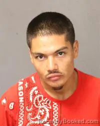 Mugshot of Dominic Jerome Garcia booked in Bernalillo County, New Mexico on August 22, 2026