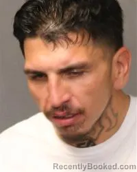 Mugshot of Anthony Romo booked in Bernalillo County, New Mexico on August 23, 2026