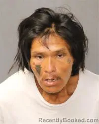 Mugshot of Roman Roy Lee booked in Bernalillo County, New Mexico on August 23, 2026