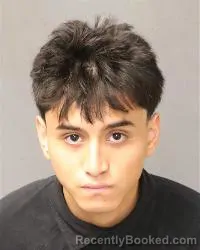 Mugshot of Yael Iram Rodriguez booked in Bernalillo County, New Mexico on August 23, 2026