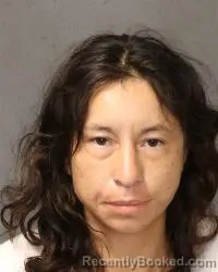 Mugshot of Shantel R Flores booked in Bernalillo County, New Mexico on August 24, 2026